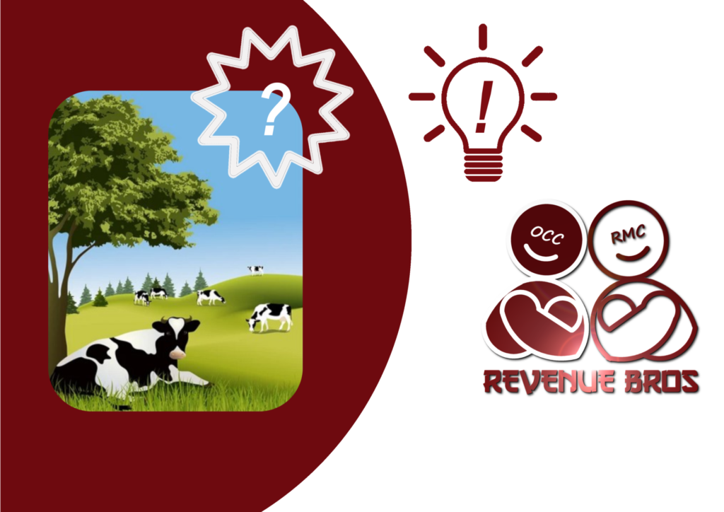 Il turismo sta trainando l’economia - Revenue Bros